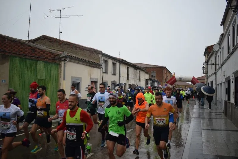 I Cross Popular Campus Pini en Cantalpino
