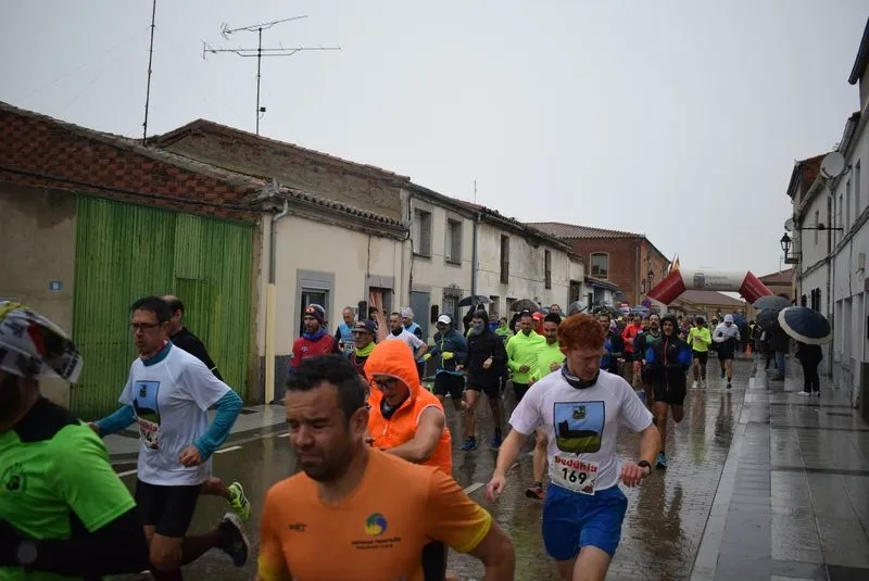 I Cross Popular Campus Pini en Cantalpino