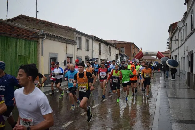 I Cross Popular Campus Pini en Cantalpino