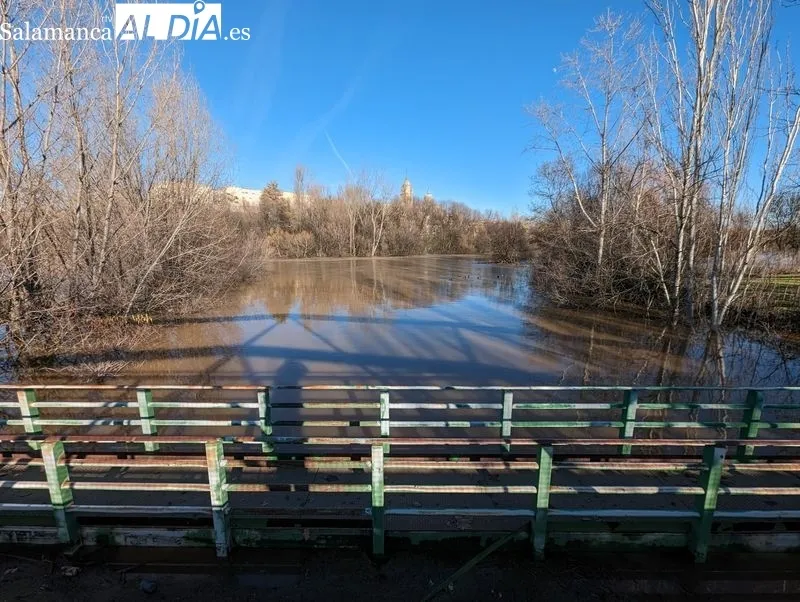 El río Tormes a su paso por Salamanca este domingo. Fotos: David Sañudo