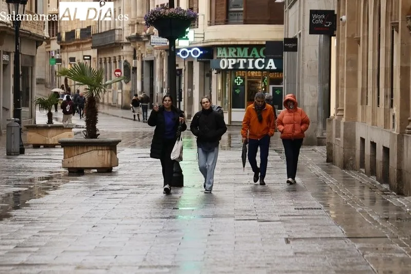 Imágenes de viandantes haciendo algunas compras en el domingo de apertura comercial. Fotos: David Sañudo.