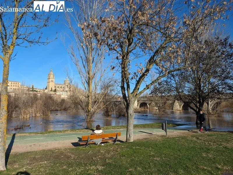 El río Tormes a su paso por Salamanca este domingo. Fotos: David Sañudo