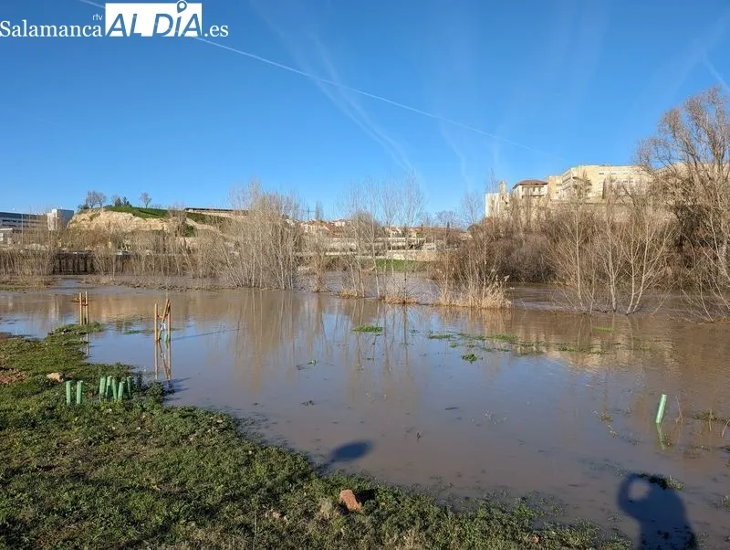 El río Tormes a su paso por Salamanca este domingo. Fotos: David Sañudo