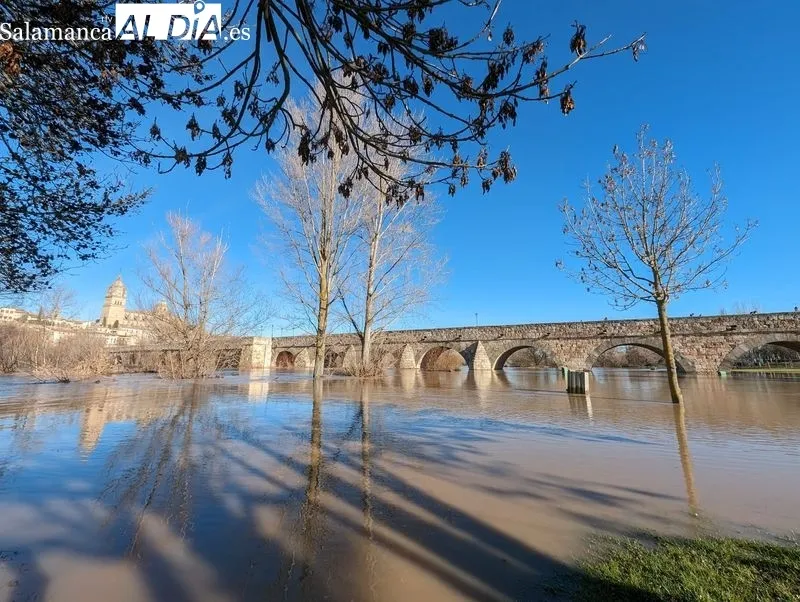 El río Tormes a su paso por Salamanca este domingo. Fotos: David Sañudo