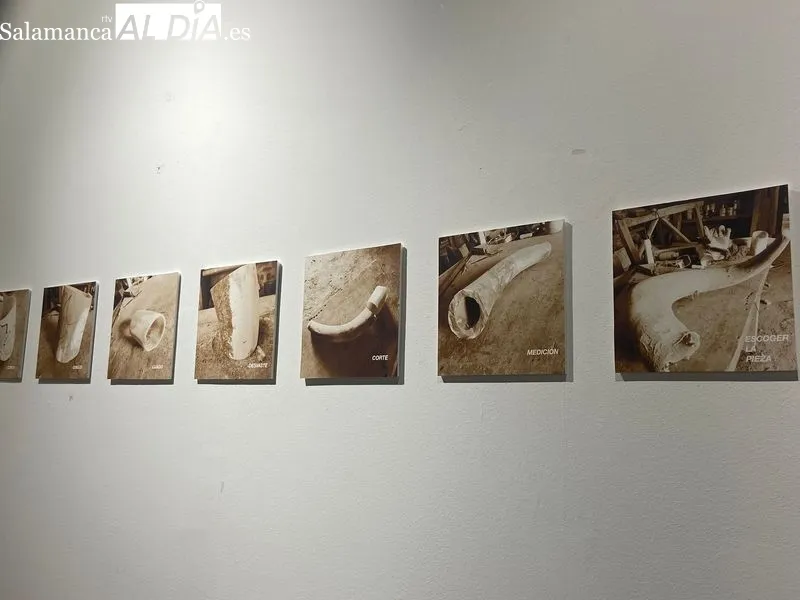 Exposición 'Materias con Alma' en el Casino de Salamanca. Foto de V. Martins