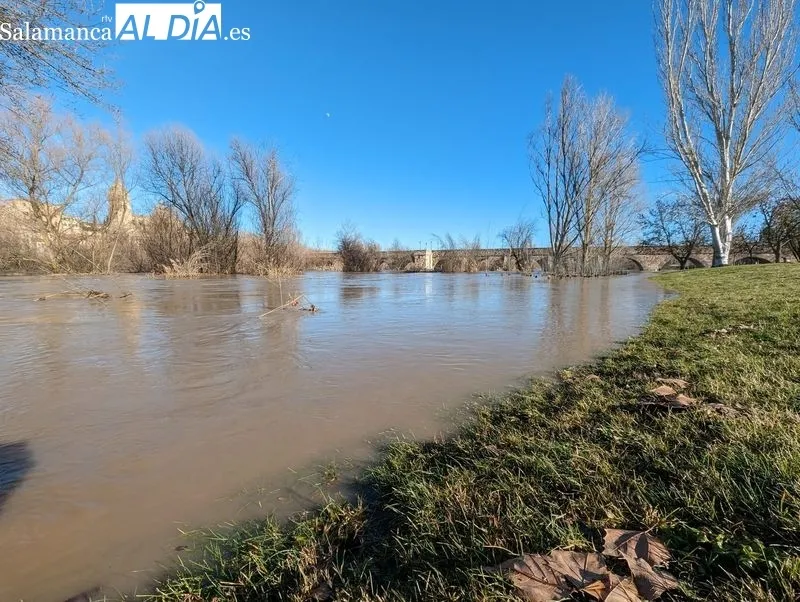El río Tormes a su paso por Salamanca este domingo. Fotos: David Sañudo