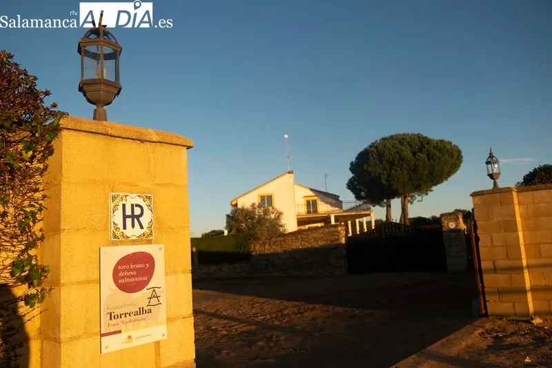 Finca de la ganadería La  Roblicita, en el término municipal de Alba de Yeltes. Foto de Pablo Angular
