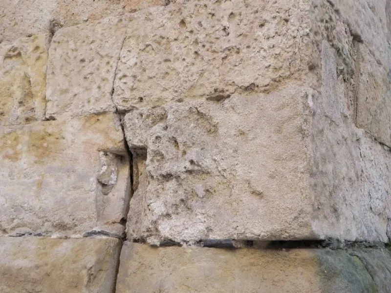 Denuncias por la falta de vigilancia y limpieza en algunos lugares emblemáticos de Salamanca | FOTOS: Perfil X de @ACDPatrimonio