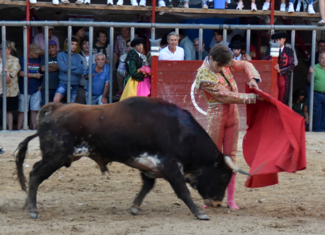 La Peña La Taurina entrega el 3 de febrero en Aldeadávila de la Ribera sus Premios Fiestas del Toro 2023
