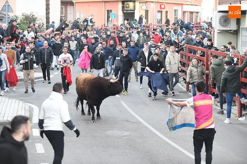 Foto 7 - Carbonero y Cotidiano avanzan el inminente Carnaval con sendas largas estancias en la calle