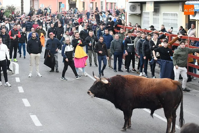 Foto 4 - Carbonero y Cotidiano avanzan el inminente Carnaval con sendas largas estancias en la calle