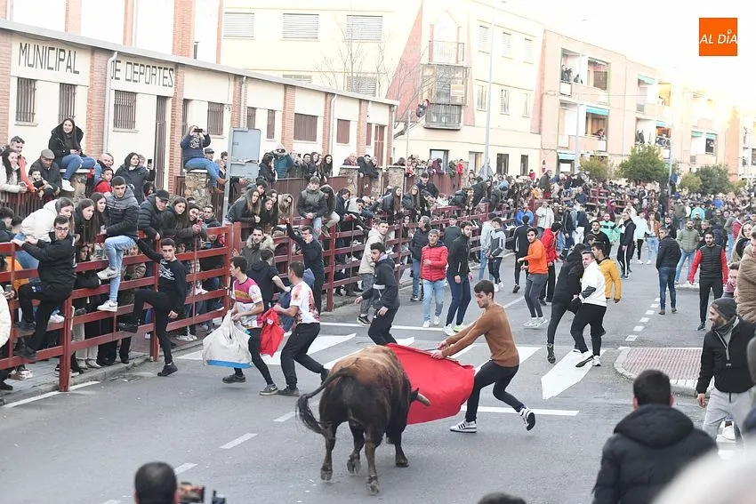 Foto 2 - Carbonero y Cotidiano avanzan el inminente Carnaval con sendas largas estancias en la calle