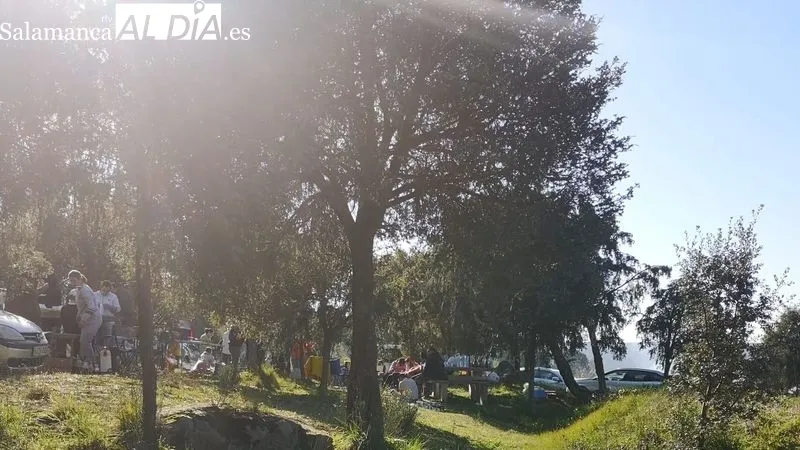 Grupos de amigos y familias al completo disfrutaron de la comida en el paraje de la Peña Redonda