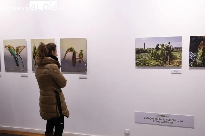 Exposición de fotografías 'Transversalidades 2023' | FOTOS: David Sañudo 