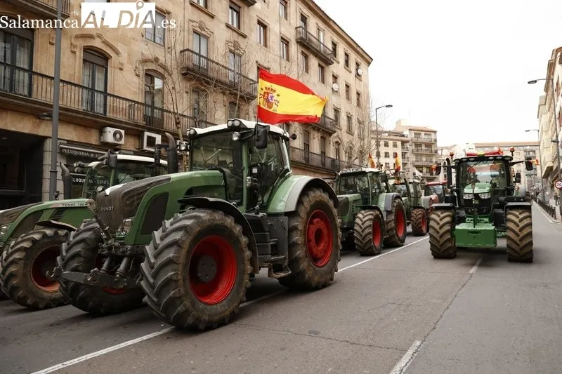 Foto 5 - EN IM&Aacute;GENES:  Agricultores y ganaderos dicen 'basta' y la tractorada recorre Salamanca 