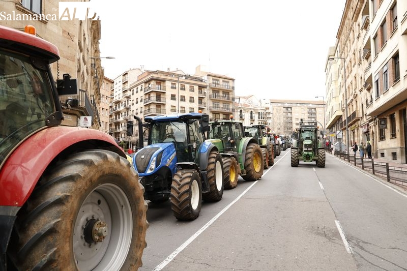 Foto 4 - EN IMÁGENES:  Agricultores y ganaderos dicen 'basta' y la tractorada recorre Salamanca 