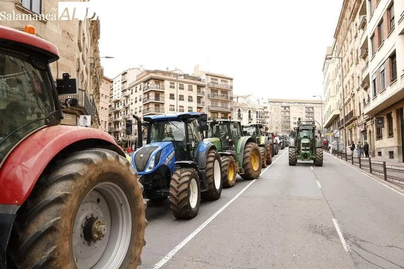 Foto 4 - EN IM&Aacute;GENES:  Agricultores y ganaderos dicen 'basta' y la tractorada recorre Salamanca 