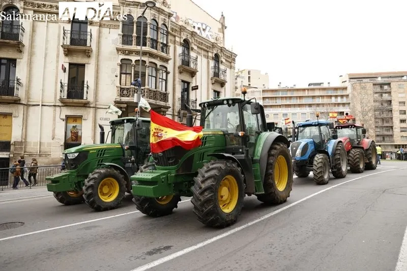 Foto 2 - EN IM&Aacute;GENES:  Agricultores y ganaderos dicen 'basta' y la tractorada recorre Salamanca 