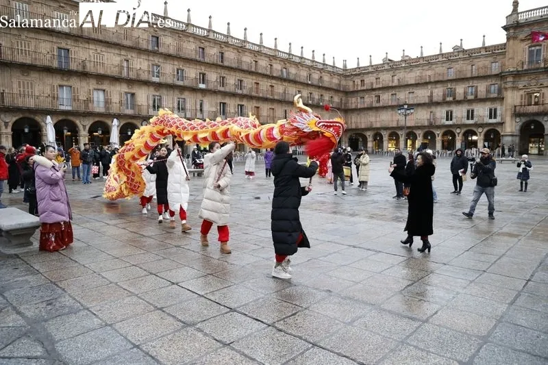 Pasacalles ‘Baile del dragón y leones’ por la Plaza Mayor. Fotos: David Sañudo