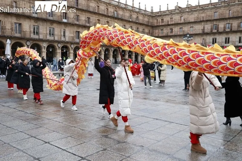 Pasacalles ‘Baile del dragón y leones’ por la Plaza Mayor. Fotos: David Sañudo