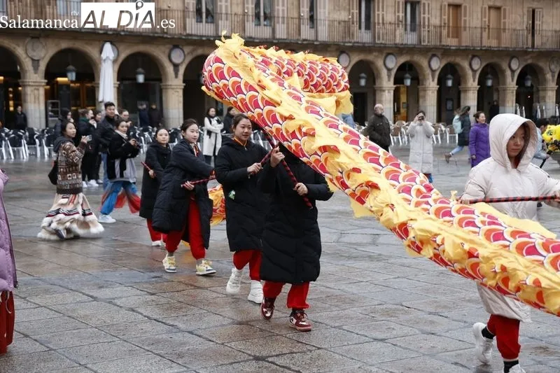 Pasacalles ‘Baile del dragón y leones’ por la Plaza Mayor. Fotos: David Sañudo