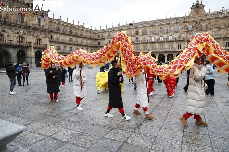 Pasacalles ‘Baile del dragón y leones’ por la Plaza Mayor. Fotos: David Sañudo