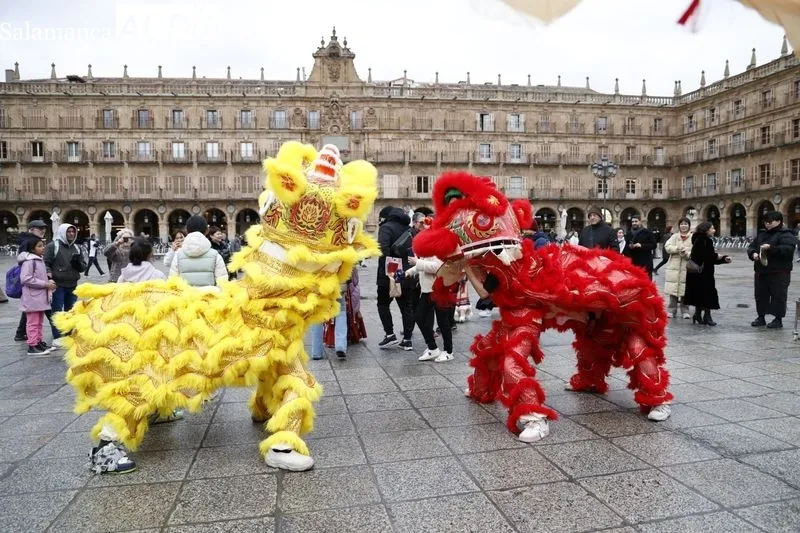 Pasacalles ‘Baile del dragón y leones’ por la Plaza Mayor. Fotos: David Sañudo