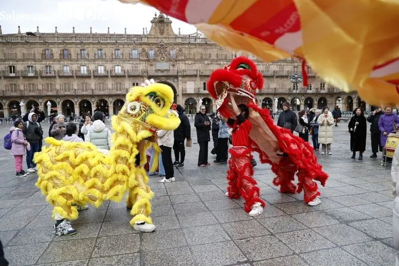 Pasacalles ‘Baile del dragón y leones’ por la Plaza Mayor. Fotos: David Sañudo