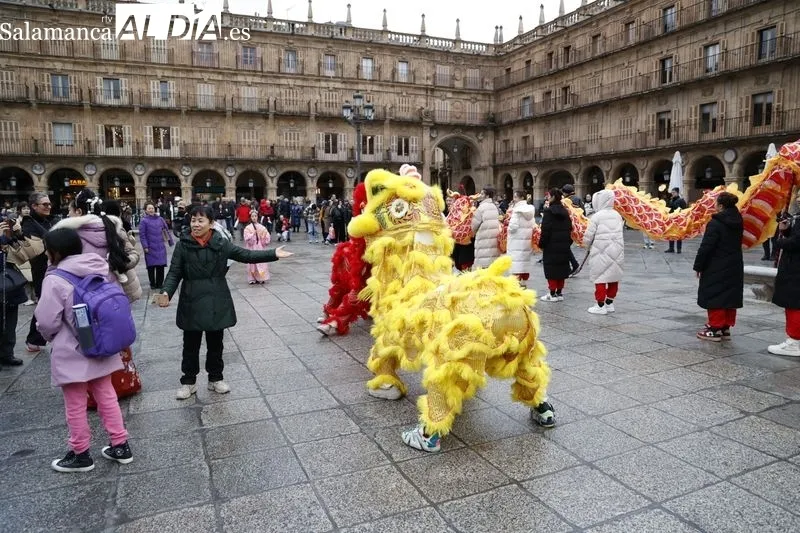 Pasacalles ‘Baile del dragón y leones’ por la Plaza Mayor. Fotos: David Sañudo