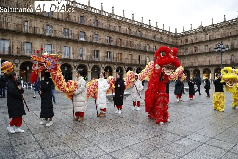 Pasacalles ‘Baile del dragón y leones’ por la Plaza Mayor. Fotos: David Sañudo
