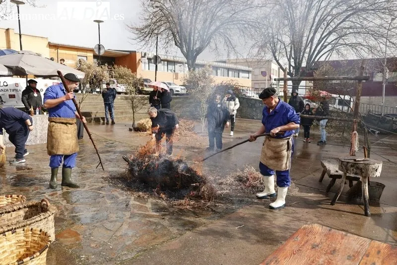 Guijuelo celebra su segunda jornada de Matanza Típica. Fotos: David Sañudo