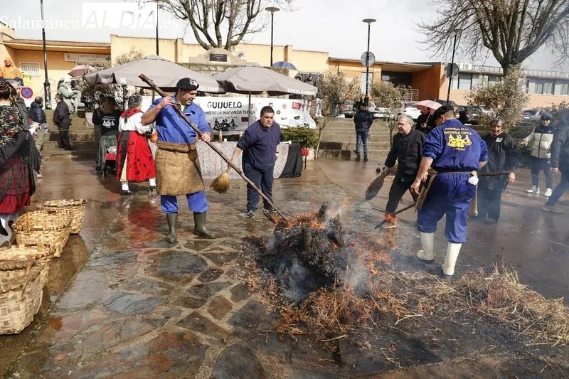 Guijuelo celebra su segunda jornada de Matanza Típica. Fotos: David Sañudo