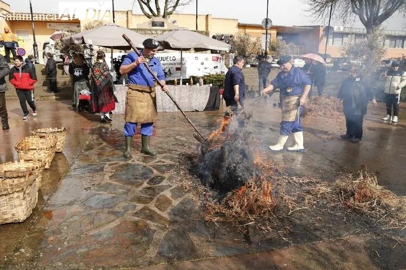 Guijuelo celebra su segunda jornada de Matanza Típica. Fotos: David Sañudo