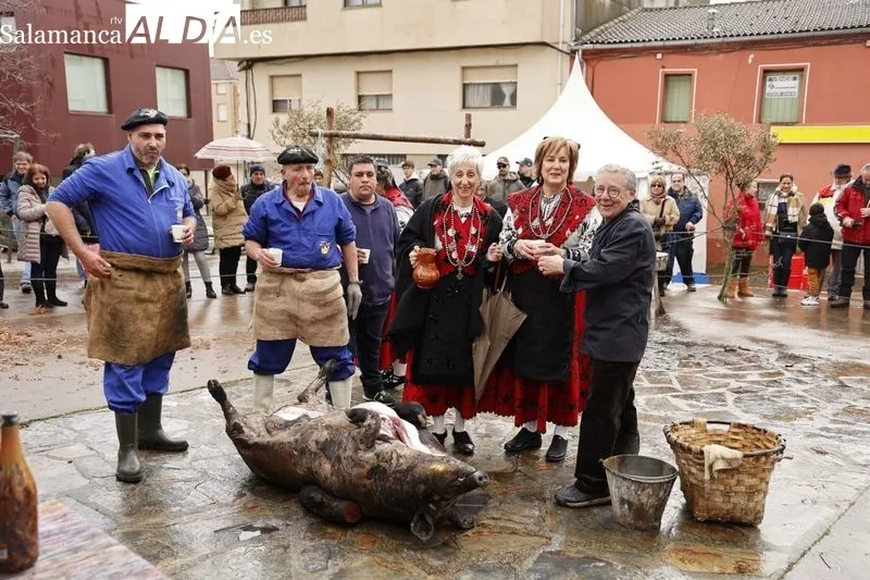 Guijuelo celebra su segunda jornada de Matanza Típica. Fotos: David Sañudo