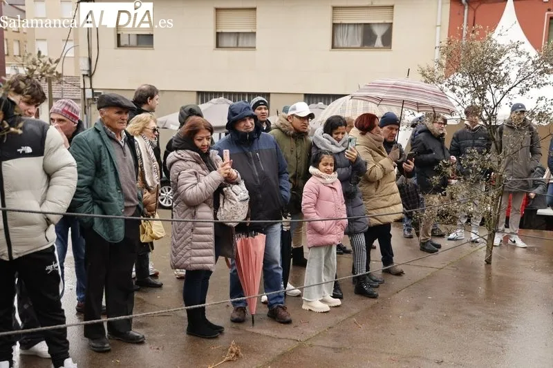 Guijuelo celebra su segunda jornada de Matanza Típica. Fotos: David Sañudo