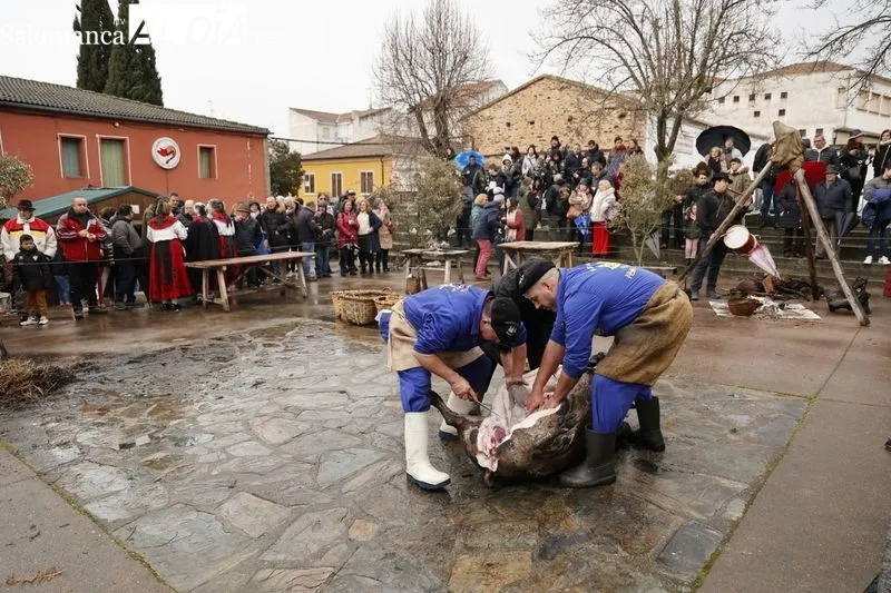 Guijuelo celebra su segunda jornada de Matanza Típica. Fotos: David Sañudo