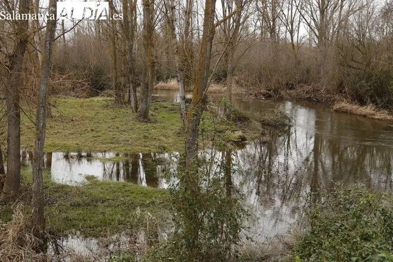 Estado de las riberas del Tormes a su paso por Salamanca. Fotos: David Sañudo