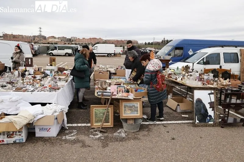 Ambiente este domingo en la ribera del Tormes y en el Rastro. Fotos: David Sañudo