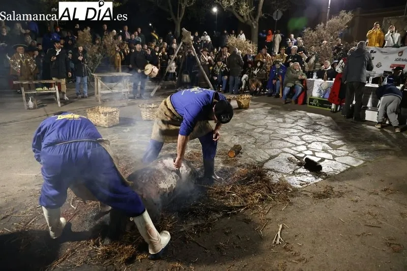 XXVI Capítulo de la Cofradía Gastronómica de Guijuelo y Matanza nocturna dedicada a la hostelería. Fotos: David Sañudo