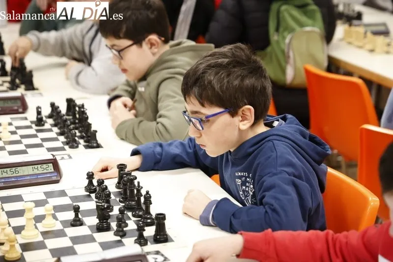 Nueva edición deI Torneo de Ajedrez Infantil 'AMPA Marista Champagnat'. Fotos: David Sañudo