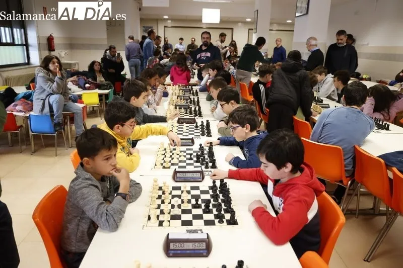 Nueva edición deI Torneo de Ajedrez Infantil 'AMPA Marista Champagnat'. Fotos: David Sañudo