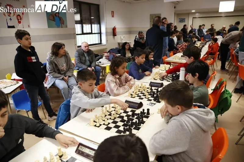 Nueva edición deI Torneo de Ajedrez Infantil 'AMPA Marista Champagnat'. Fotos: David Sañudo