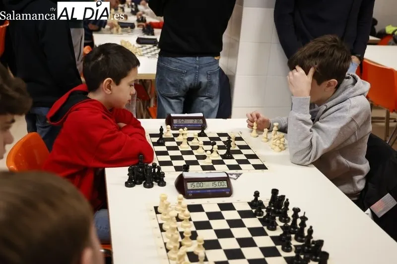 Nueva edición deI Torneo de Ajedrez Infantil 'AMPA Marista Champagnat'. Fotos: David Sañudo