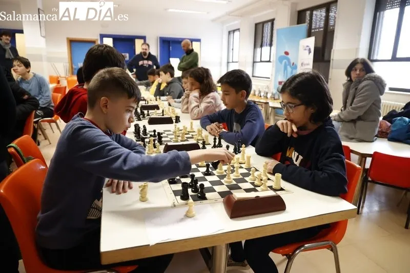 Nueva edición deI Torneo de Ajedrez Infantil 'AMPA Marista Champagnat'. Fotos: David Sañudo