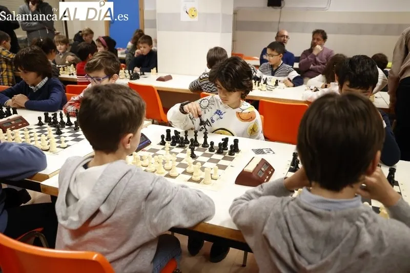 Nueva edición deI Torneo de Ajedrez Infantil 'AMPA Marista Champagnat'. Fotos: David Sañudo