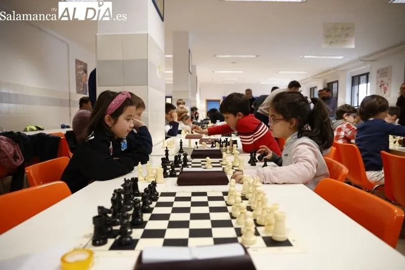 Nueva edición deI Torneo de Ajedrez Infantil 'AMPA Marista Champagnat'. Fotos: David Sañudo