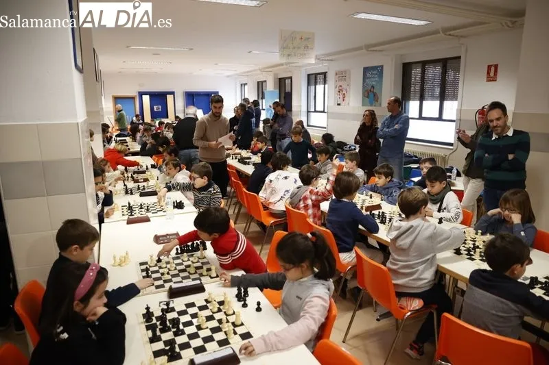 Nueva edición deI Torneo de Ajedrez Infantil 'AMPA Marista Champagnat'. Fotos: David Sañudo