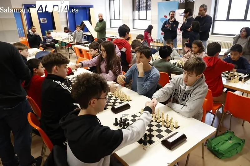 Nueva edición deI Torneo de Ajedrez Infantil 'AMPA Marista Champagnat'. Fotos: David Sañudo