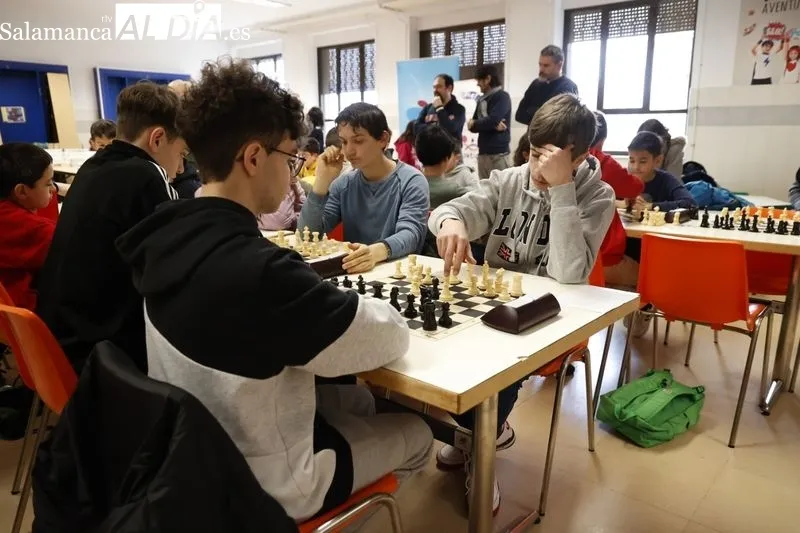 Nueva edición deI Torneo de Ajedrez Infantil 'AMPA Marista Champagnat'. Fotos: David Sañudo