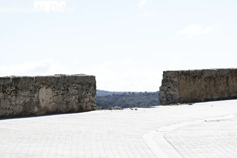 El consejero de Cultura, Turismo y Deporte, Gonzalo Santonja, visita la muralla de Ledesma tras el derrumbe de un tramo. Fotos: David Sañudo